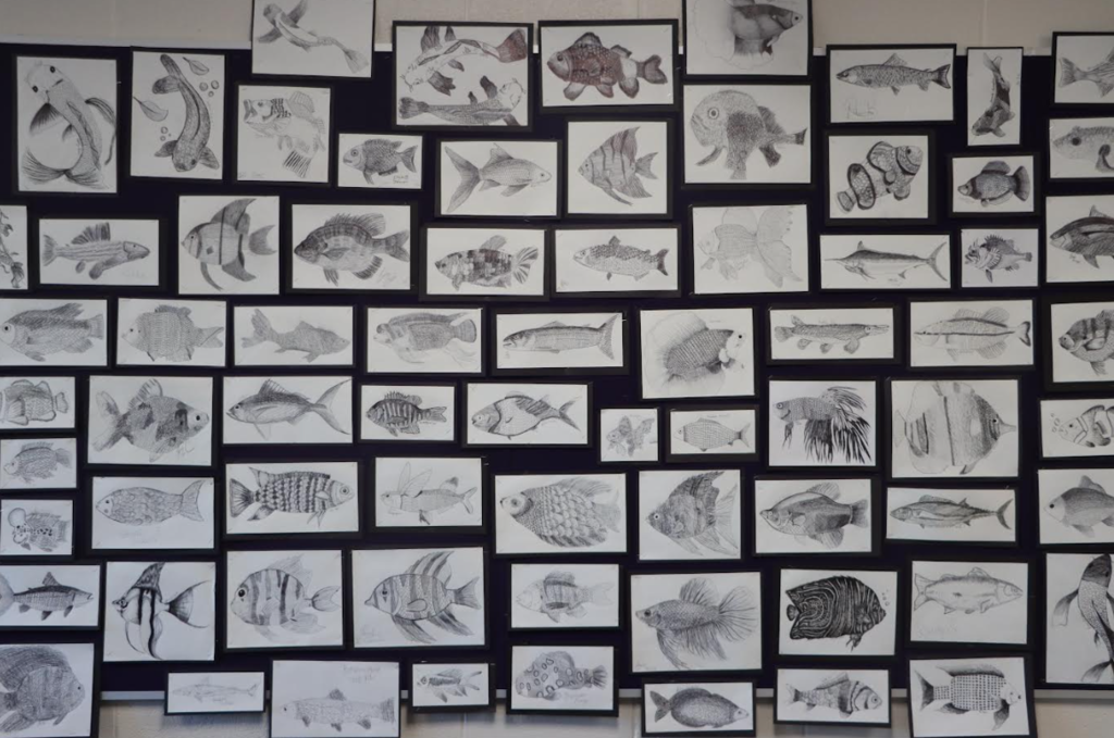 fish