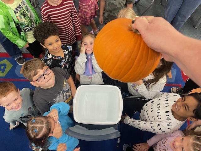 Pumpkin investigation