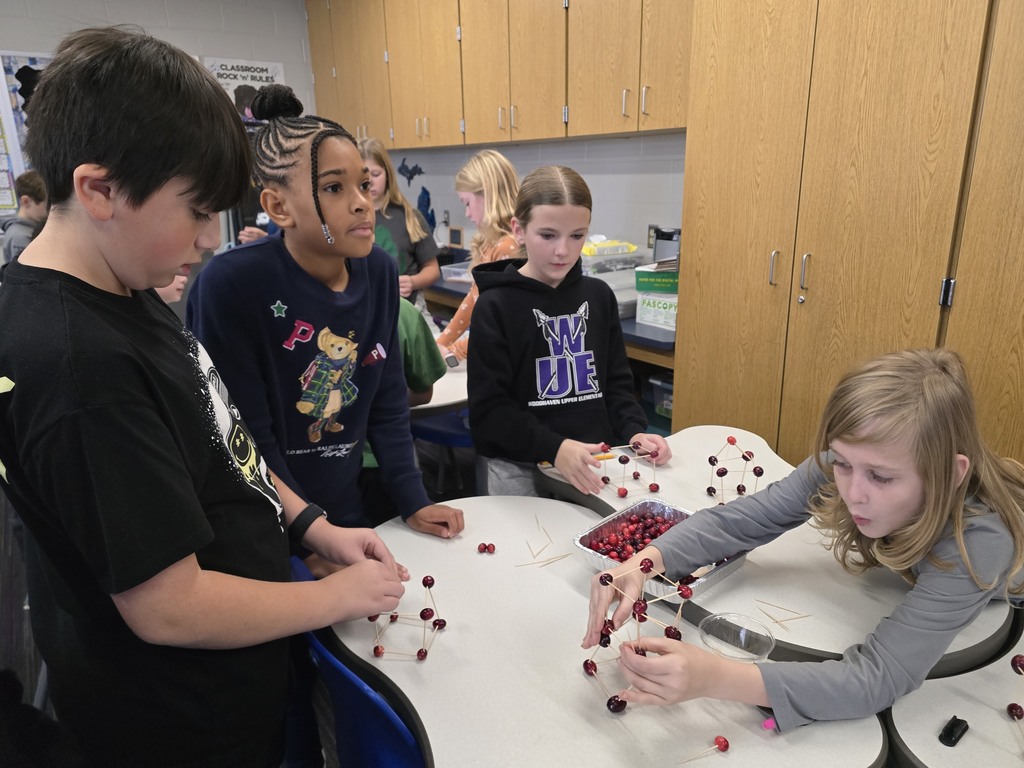 students building cranberry project