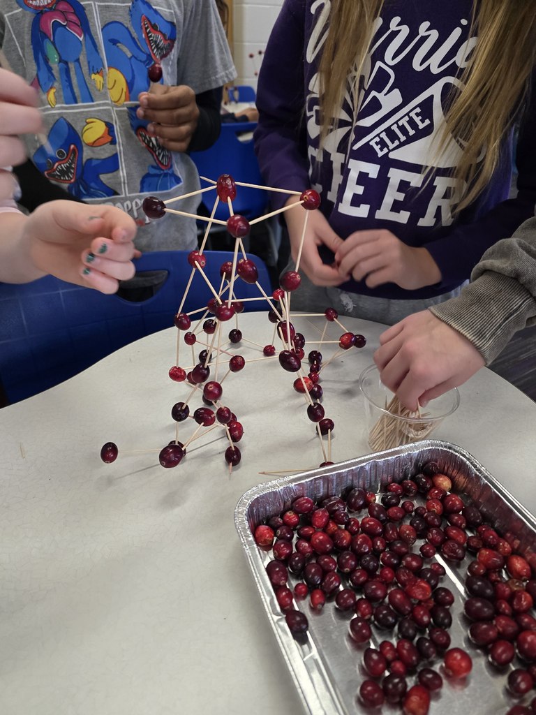 students building cranberry project