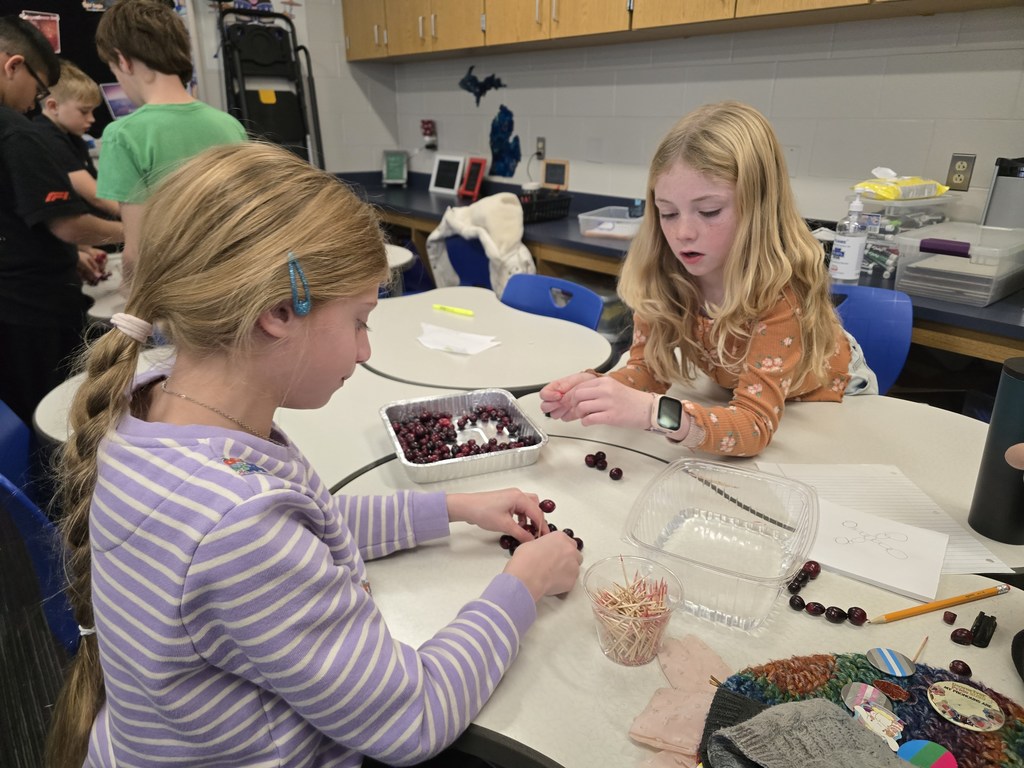 students building cranberry project