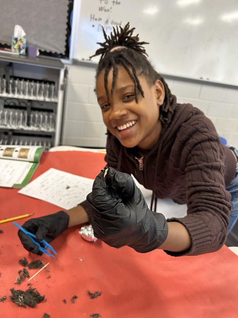 owl pellet dissection