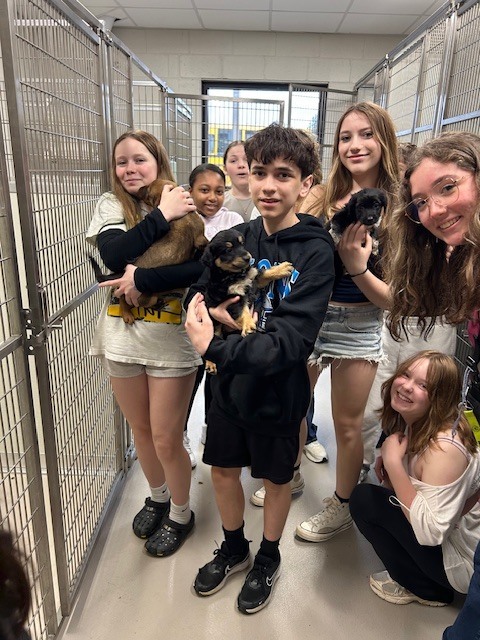 students with animals at the animal shelter