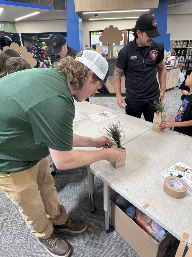 volunteers helping package trees