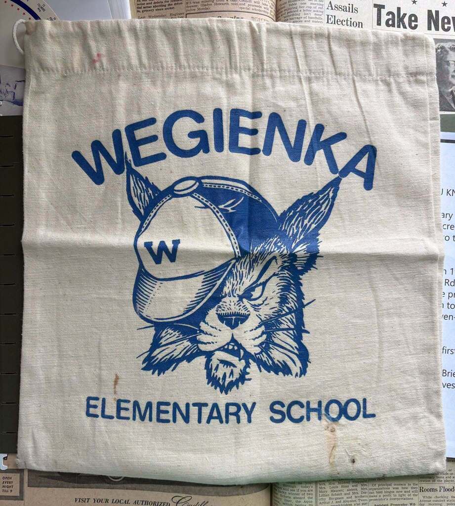 old wegienka wildcat logo
