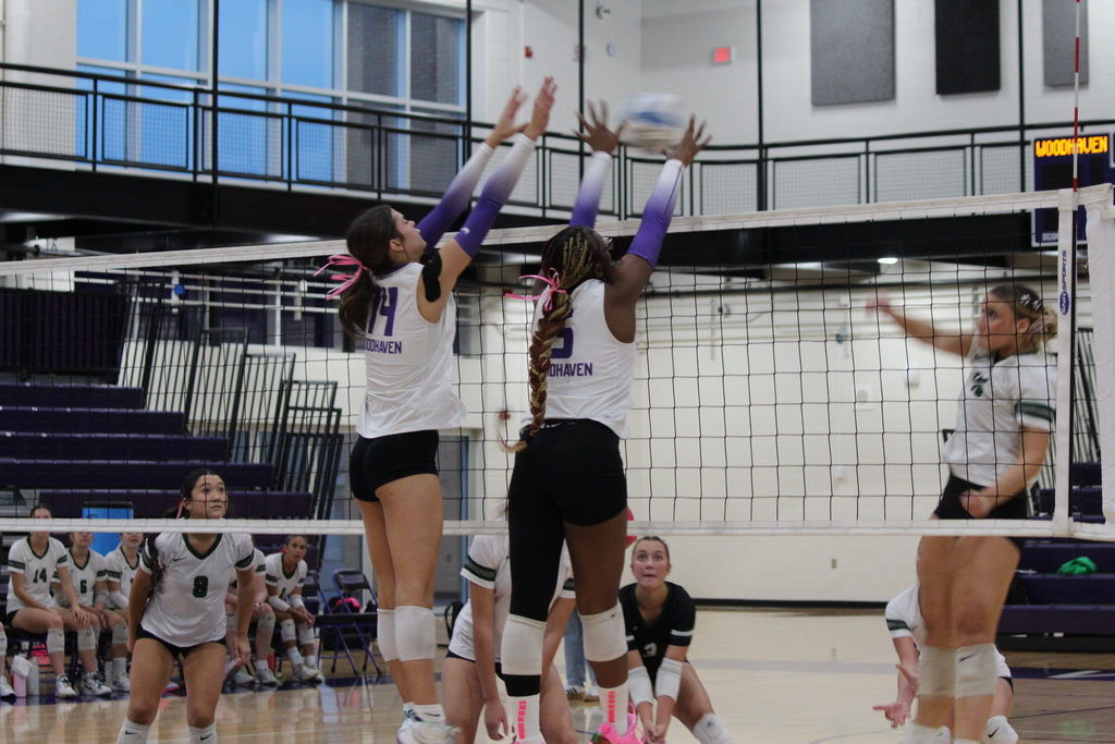 volleyball athlete playing in game