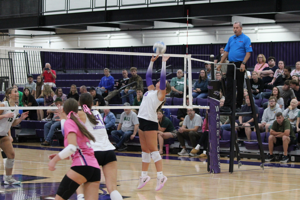volleyball athlete playing in game