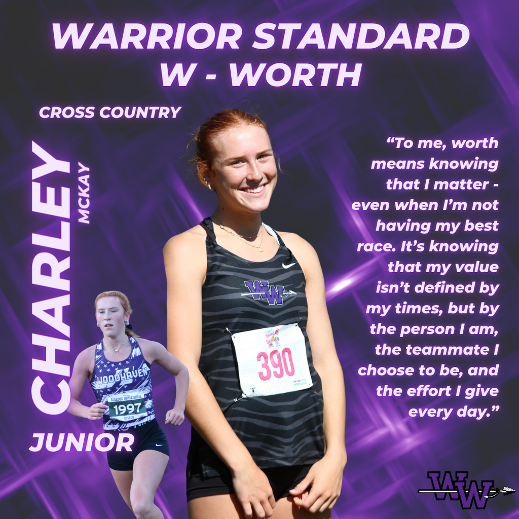 warrior standard worth