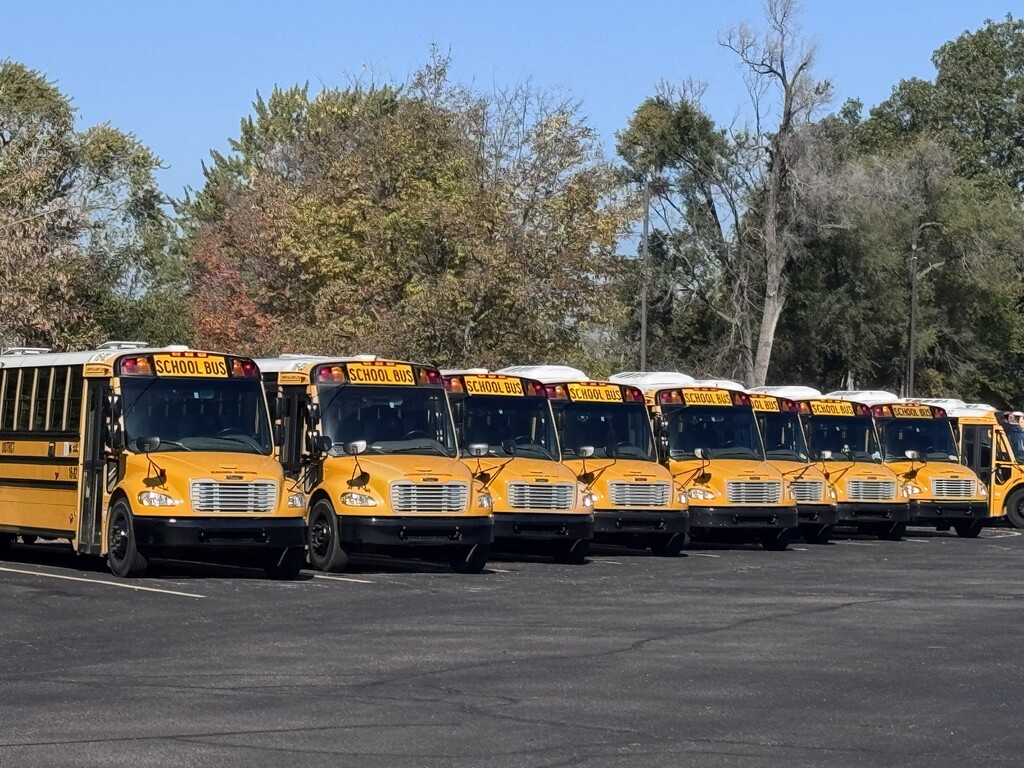 buses