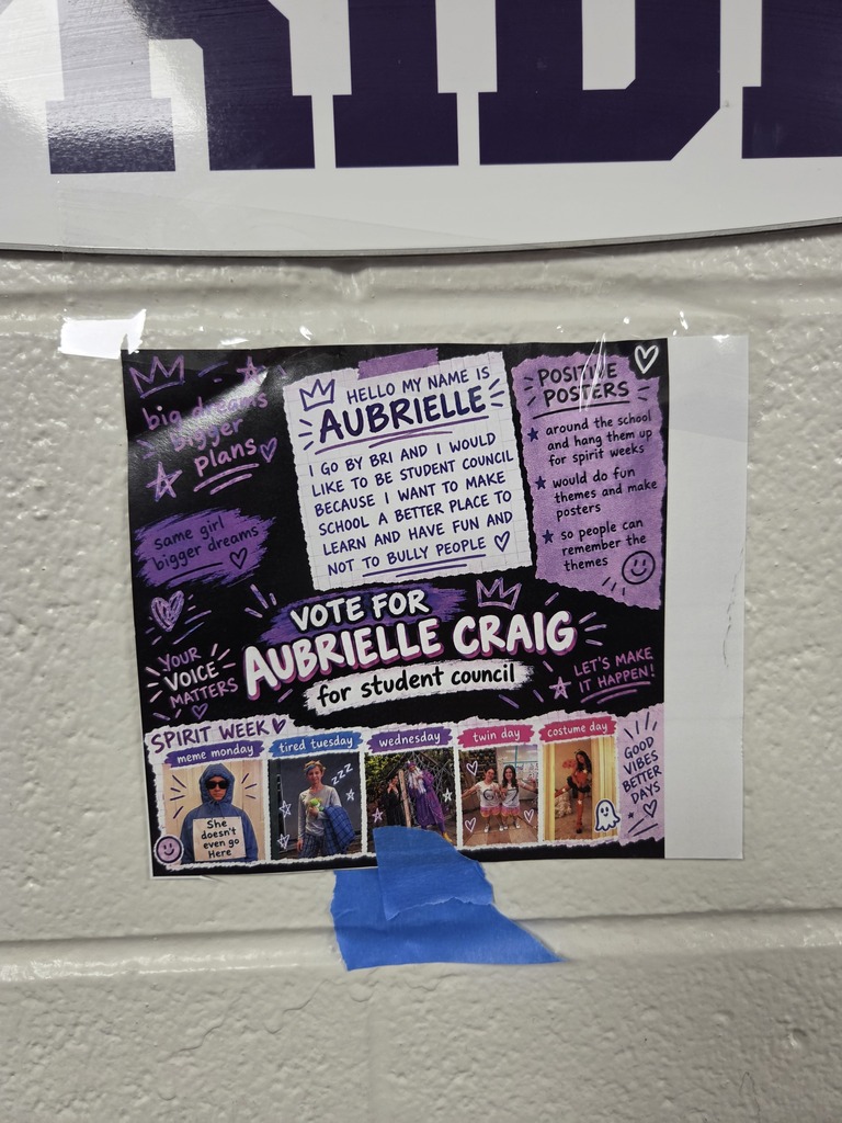 student council posters around BMS