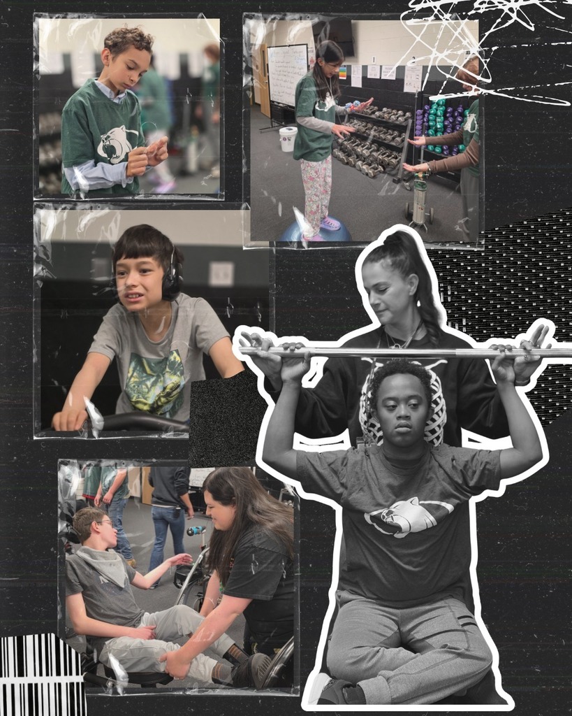 A collage of Unified PE students using weights and cardio machines in the fitness room