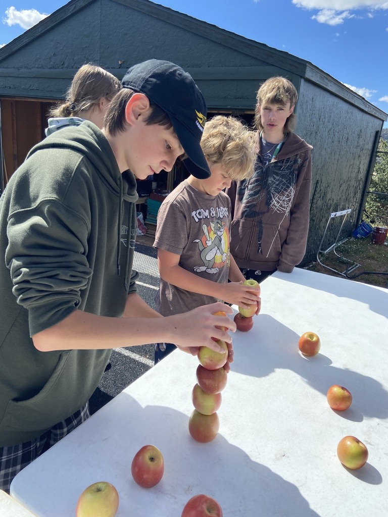 Students playing an apple stacking game