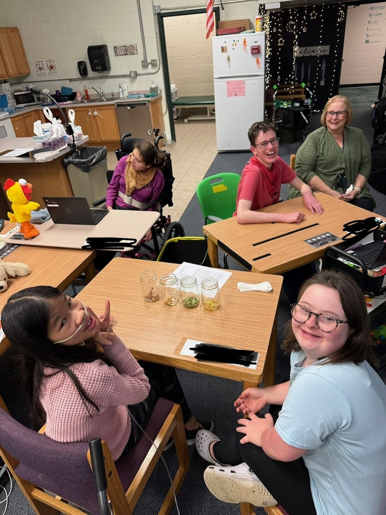 Students in Ms. Snook's class