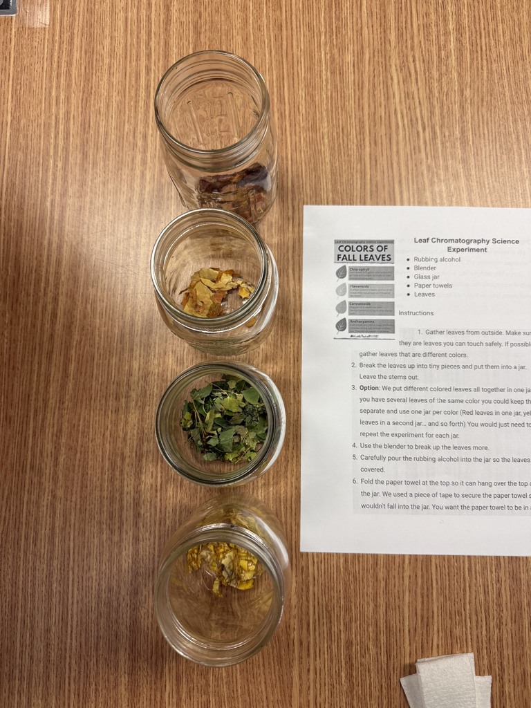 Jars of different color leaves