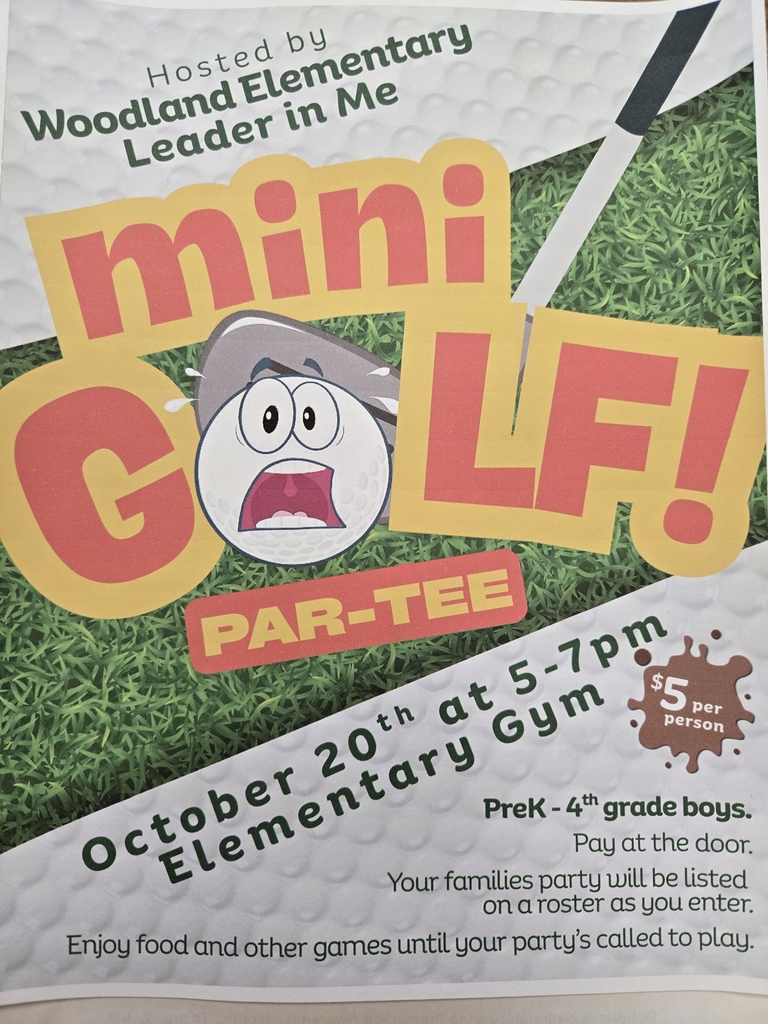 Mother/Son Mini Golf night