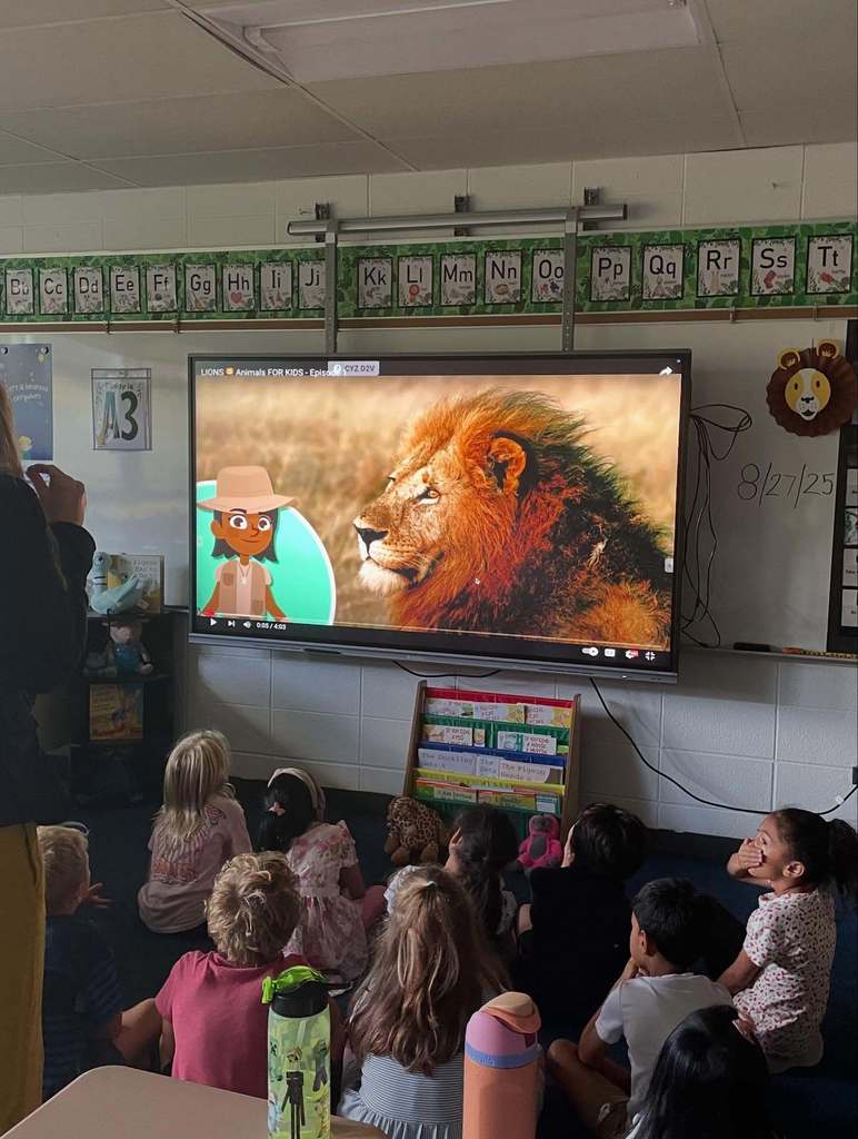 1st Grade Class