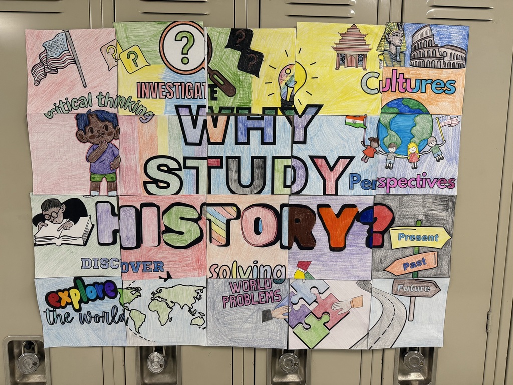 Why Study History collaborative posters WMS