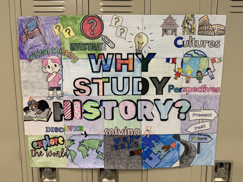 Why Study History collaborative posters WMS