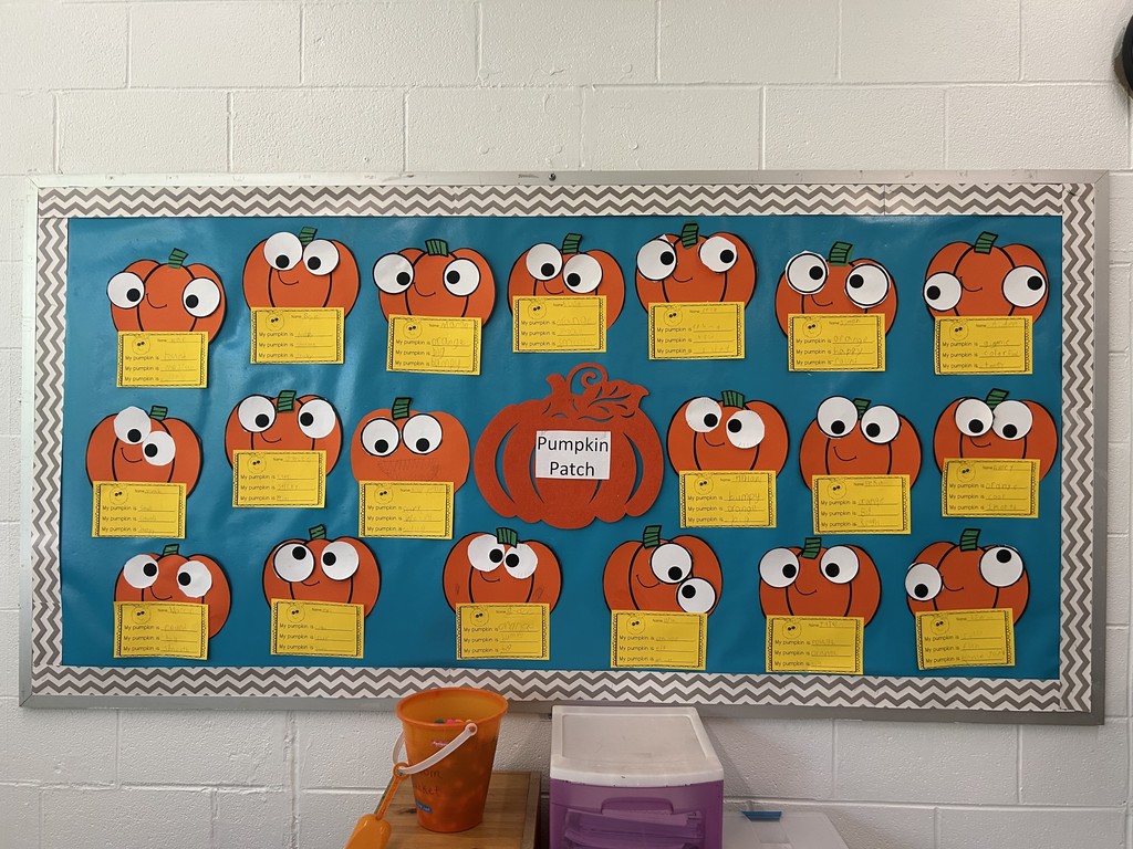 Ms. Graff's Class