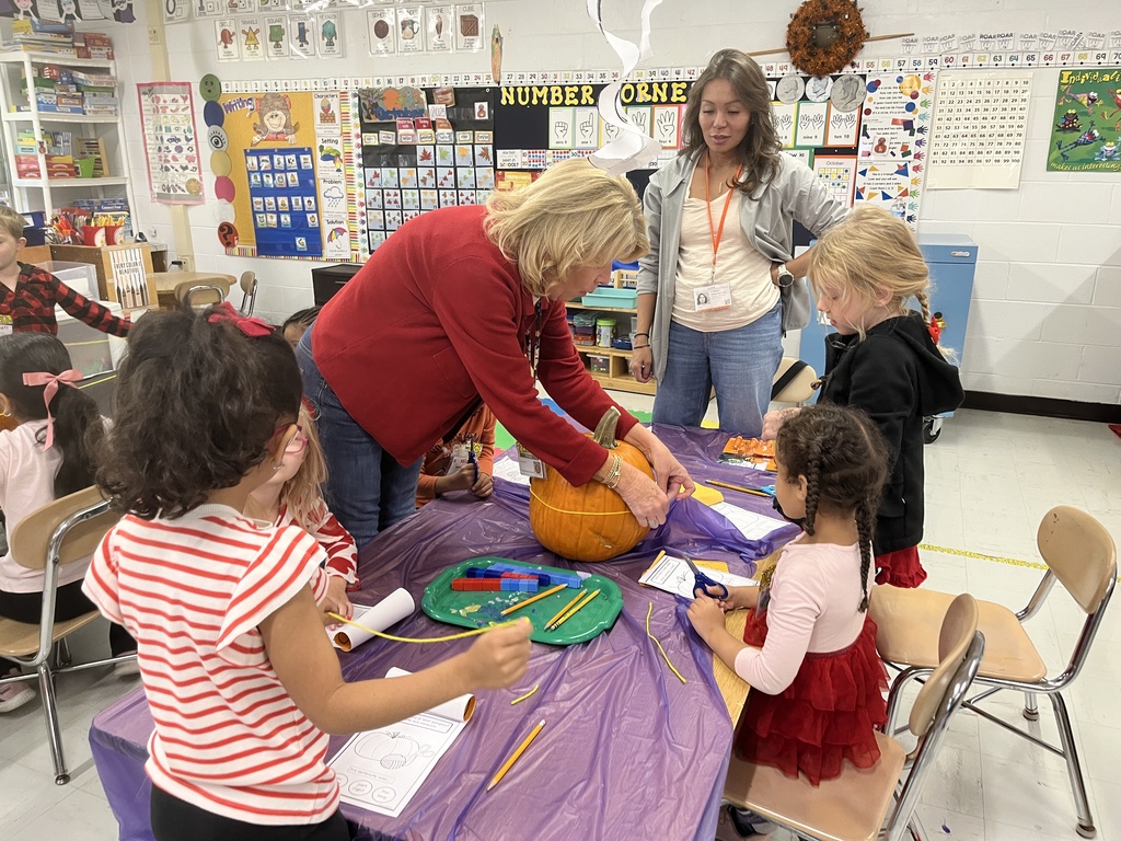 The Great Kindergarten Pumpkin Investigation in Ms. O'Neil, Ms. Beaudry, Ms. Bensch, and Ms. Knapp's classes! 