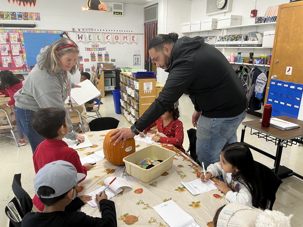 The Great Kindergarten Pumpkin Investigation in Ms. O'Neil, Ms. Beaudry, Ms. Bensch, and Ms. Knapp's classes! 