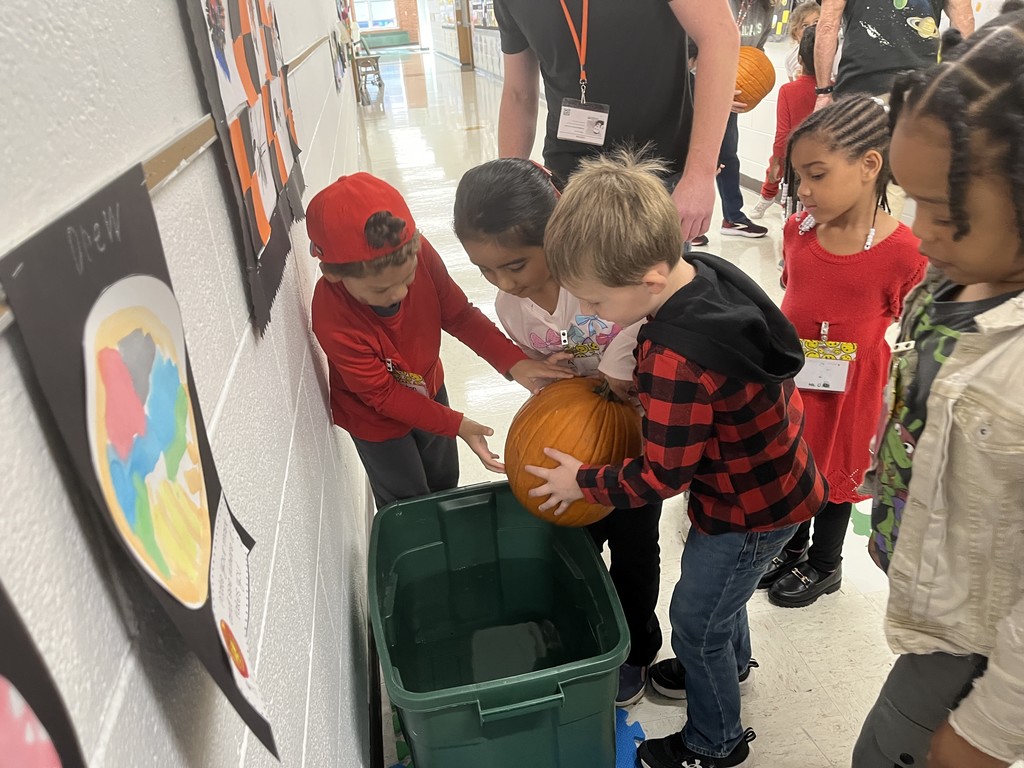 The Great Kindergarten Pumpkin Investigation in Ms. O'Neil, Ms. Beaudry, Ms. Bensch, and Ms. Knapp's classes! 
