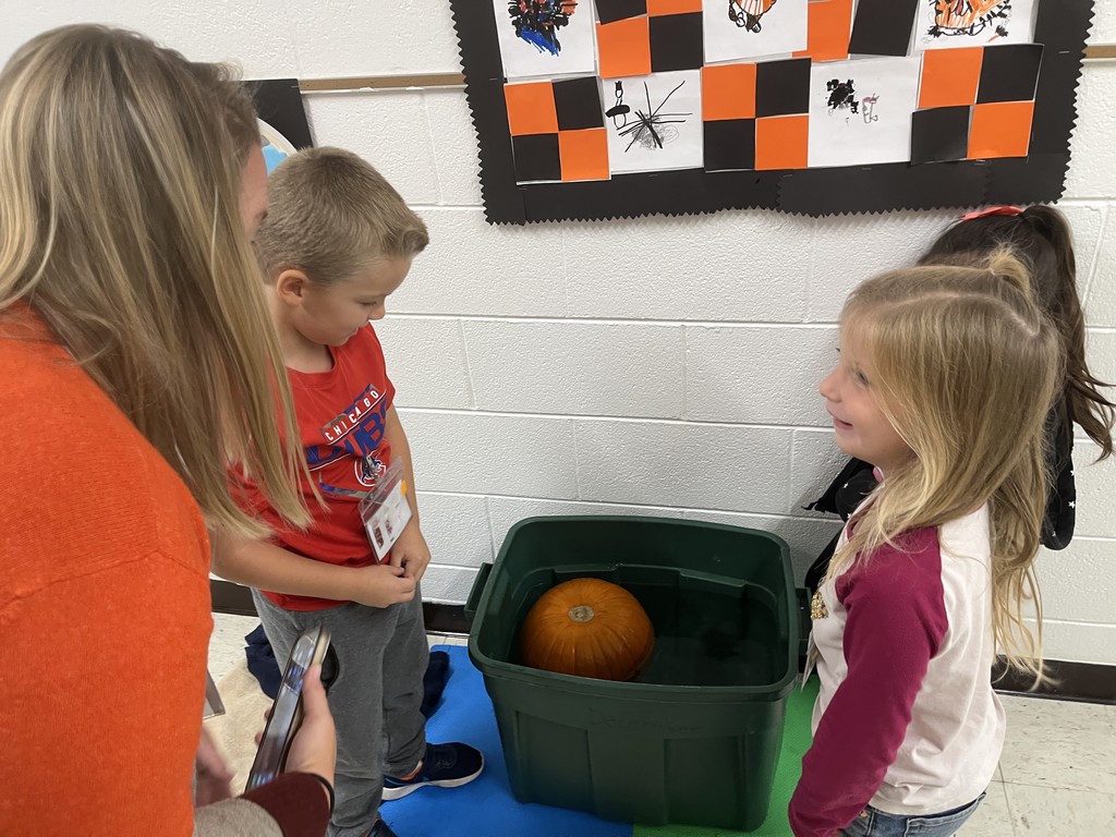 The Great Kindergarten Pumpkin Investigation in Ms. O'Neil, Ms. Beaudry, Ms. Bensch, and Ms. Knapp's classes! 