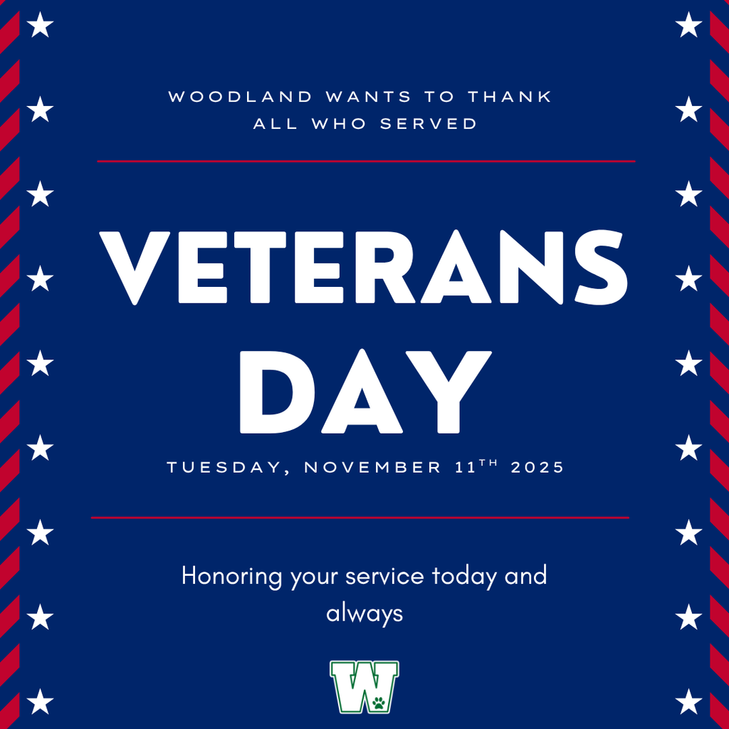 Veterans Day Graphic 