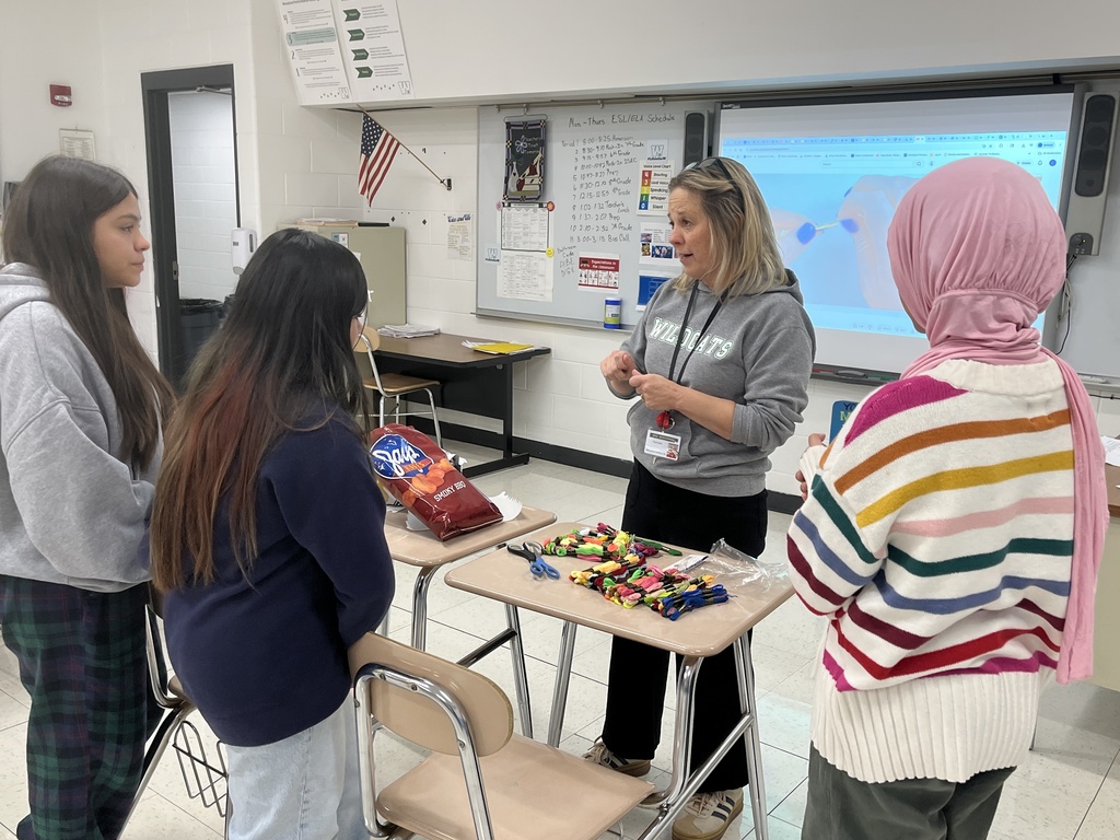 Voice and Vibe Club at WMS making friendship bracelets 