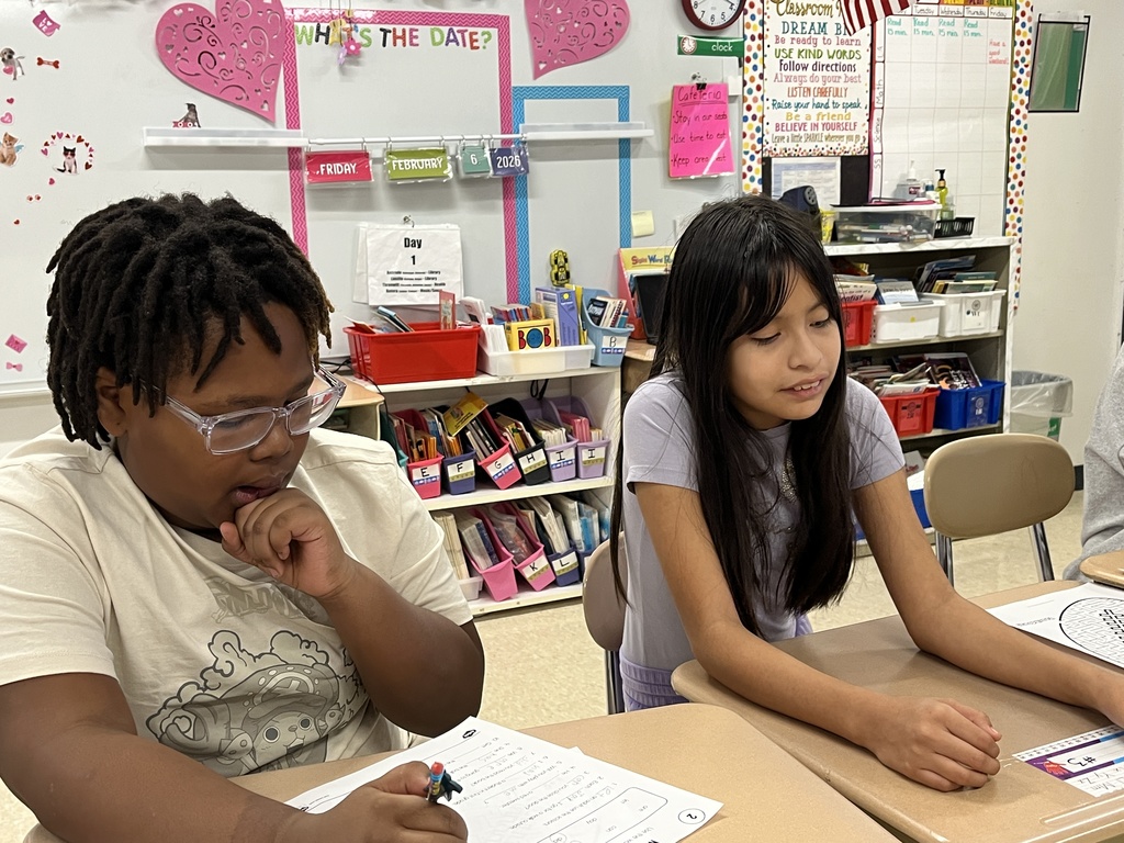 Teamwork in Ms. Rakosnik's class at Woodland Intermediate