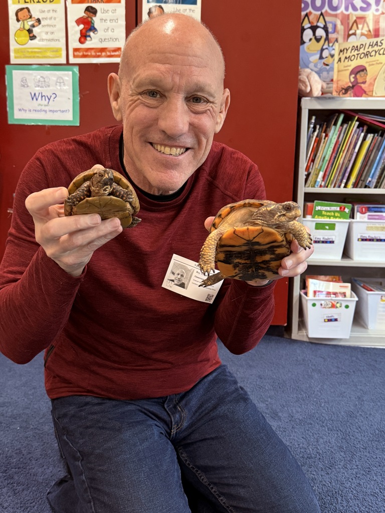 Classroom visitor brings turtles to show the students