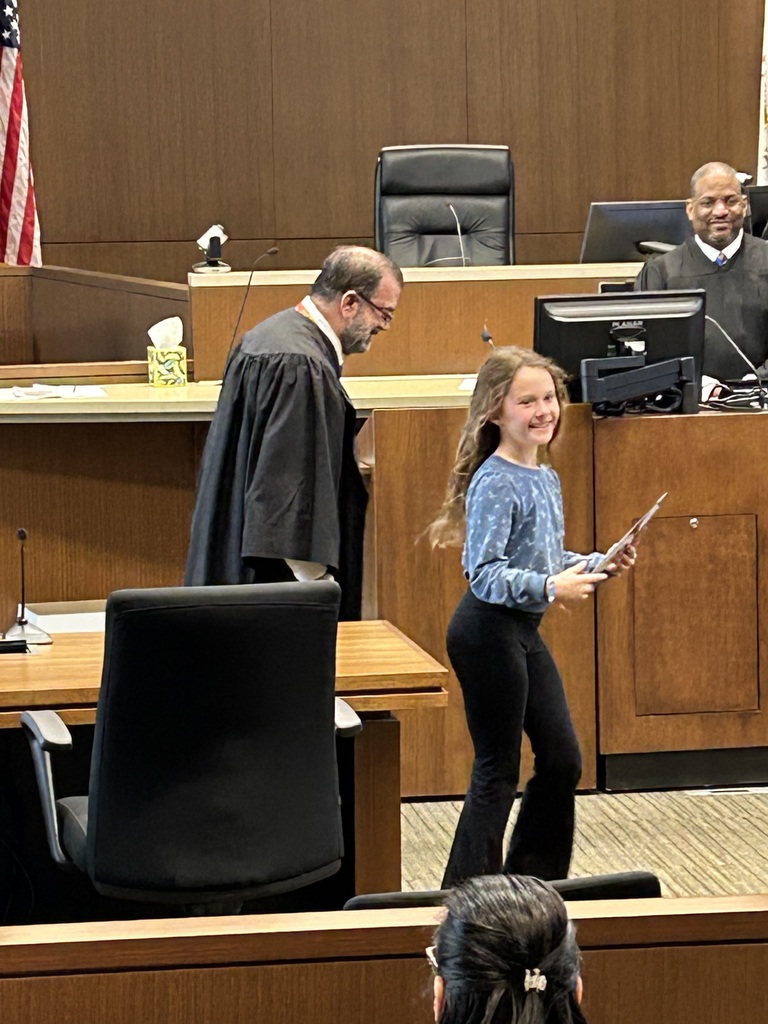 Student artist receives certifcate from a Lake County Judge for Law Day May 2026