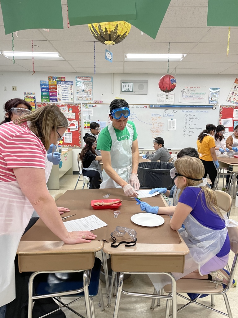 4th graders dissecting a squid in class 