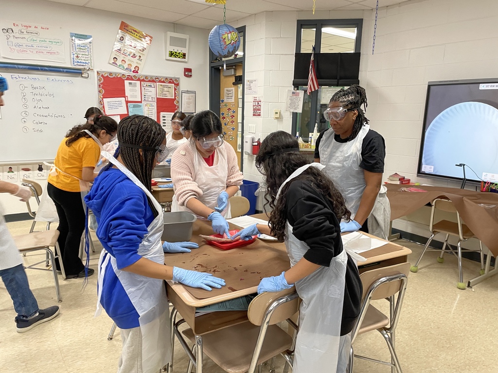 4th graders dissecting a squid in class 