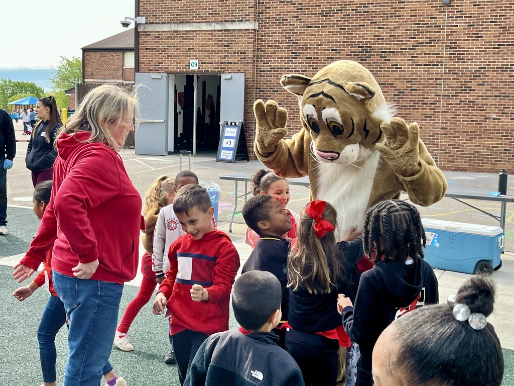 Field Day at Woodland Primary, May 2026