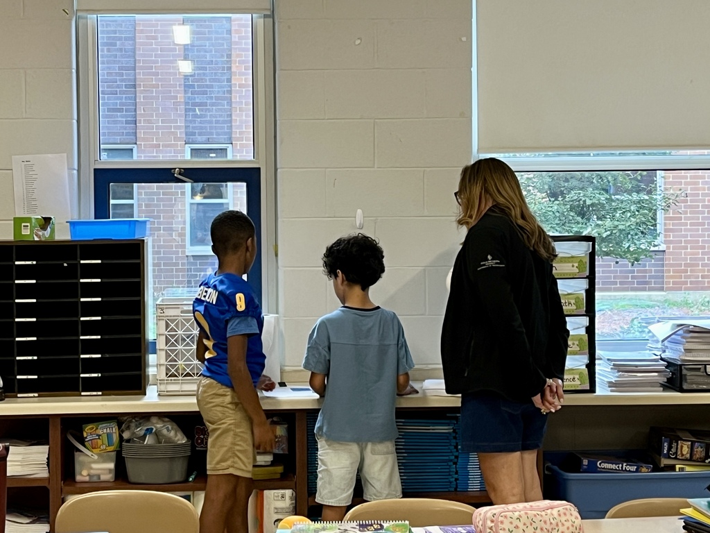 Students work together to solve a complex math problem on the whiteboards around the classroom