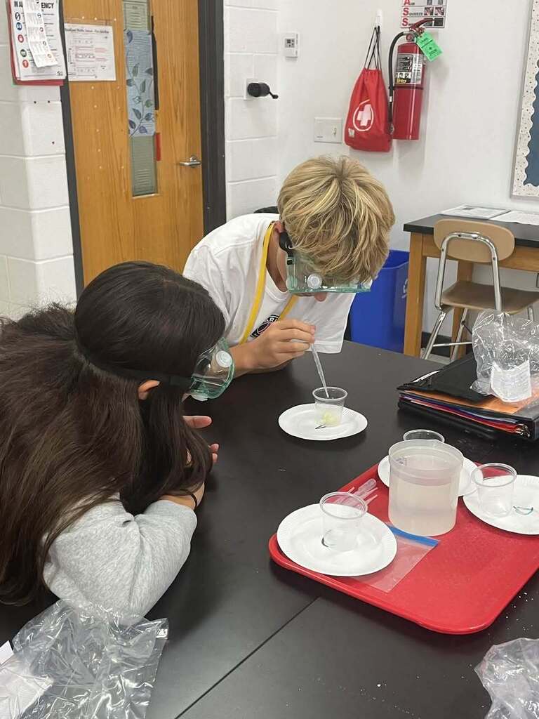 Students working on a science experiment