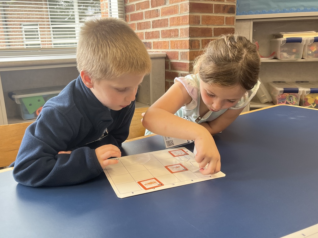 Kindergarten students learn a coding at Woodland Primary