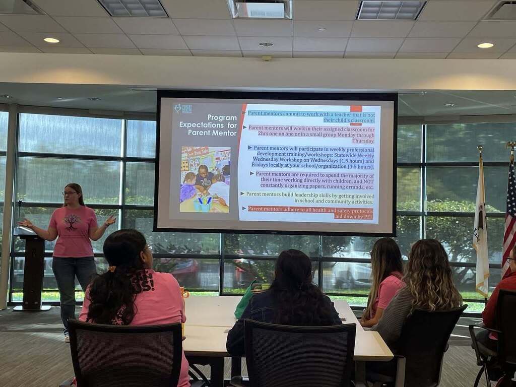 Parent Mentor Presentation