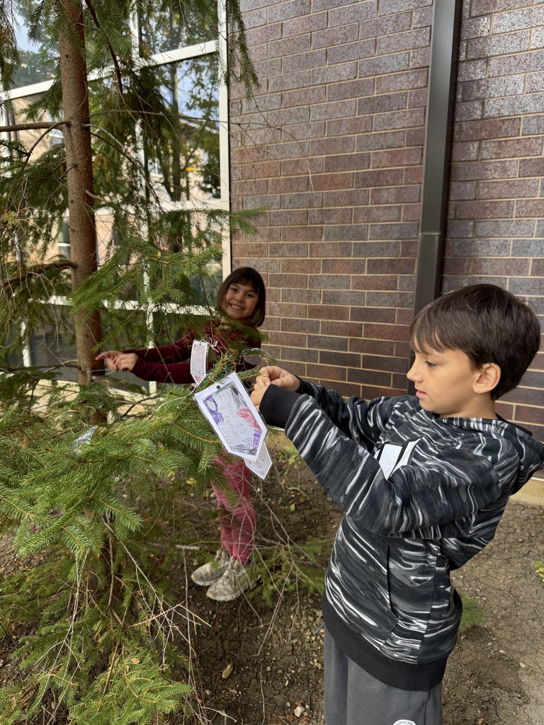Wishtree at INT