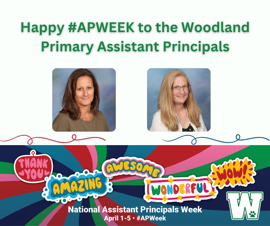 Primary Assistant Principals