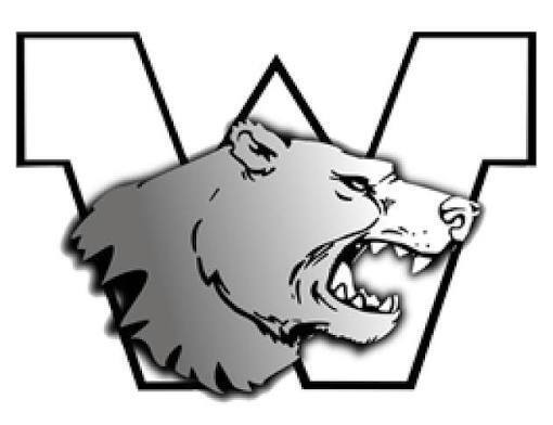bears logo