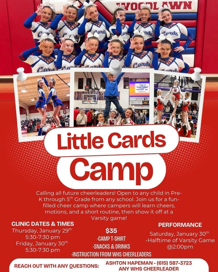 little cards camp