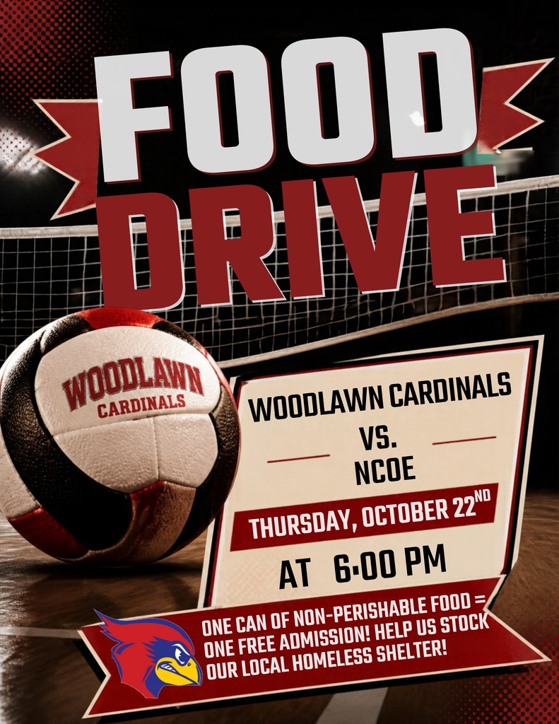 Food drive volleyball flyer