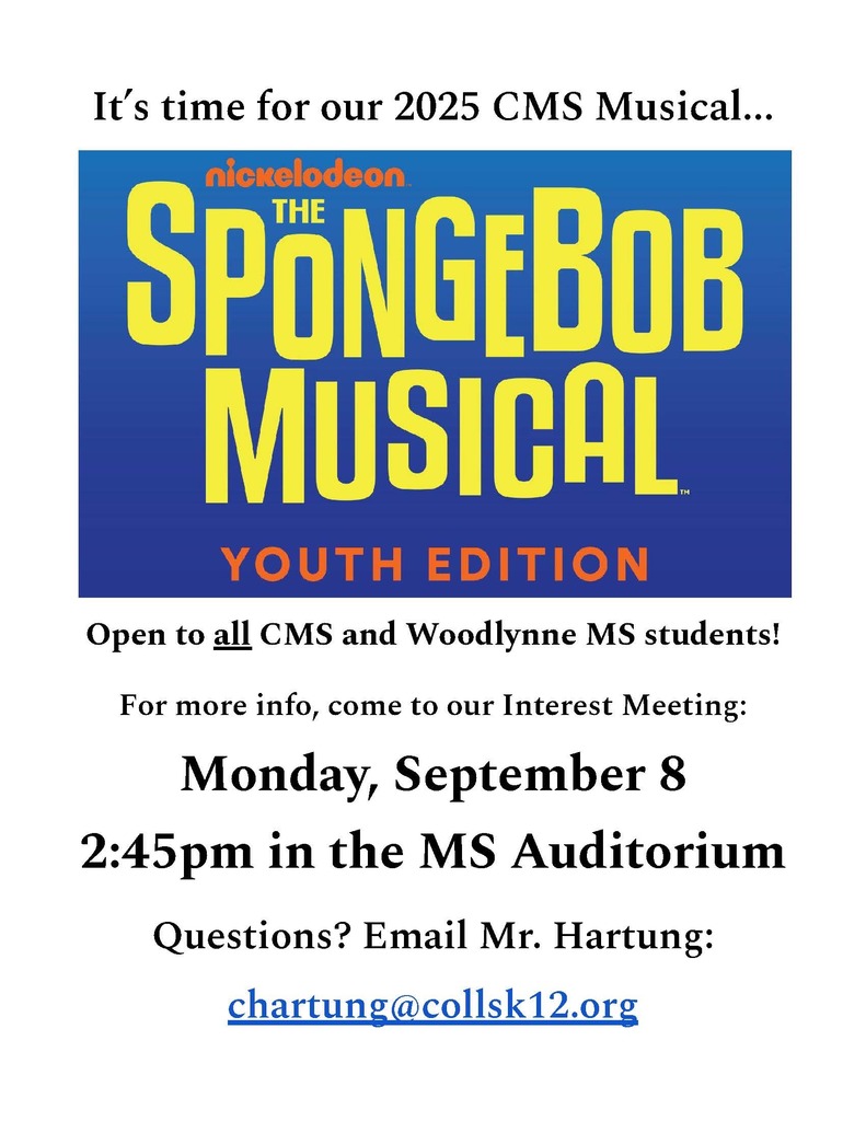 Spongebob the Musical flyer