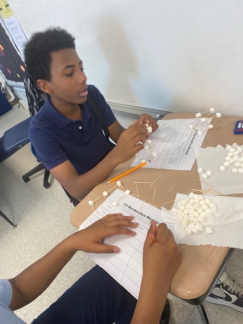 student making shapes with toothpicks and marshmallows