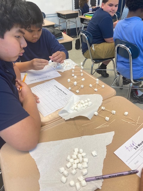 two students using toothpicks and marshmallows to creat shapes