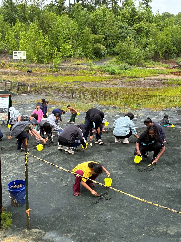 students digging in the dirt for fossils