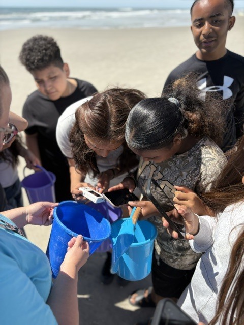students holding their phones over a bucket of crabs