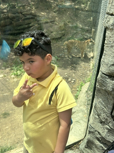 student in front of the tiger